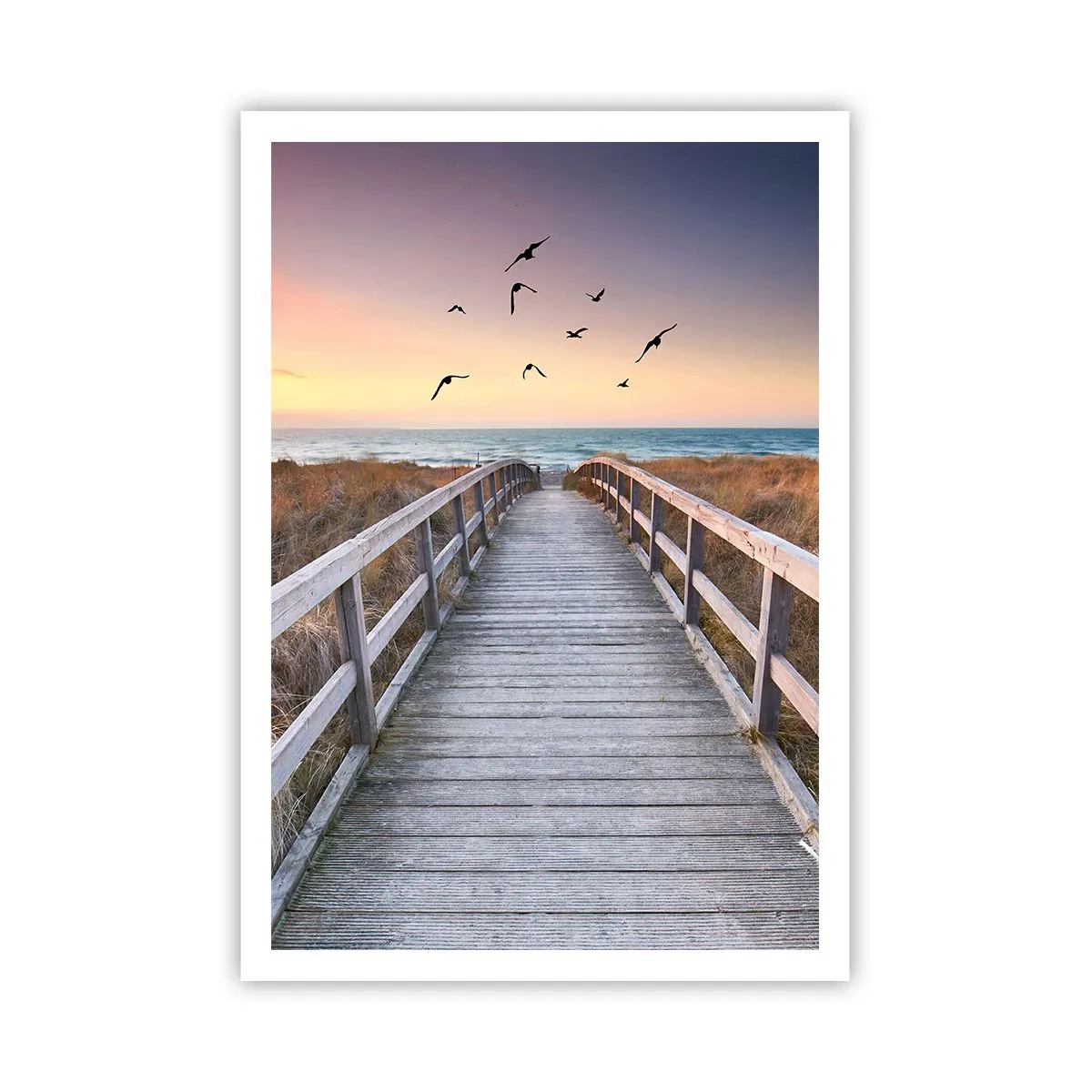 Affisch - Startbana - 70x100 cm