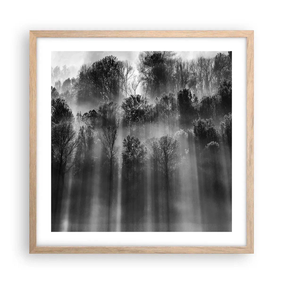 Affisch i ram av ljusek - I ljusstrålar - 50x50 cm