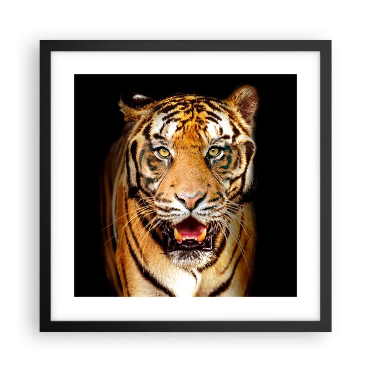 Affisch i svart ram - Vilt hjärta - 40x40 cm