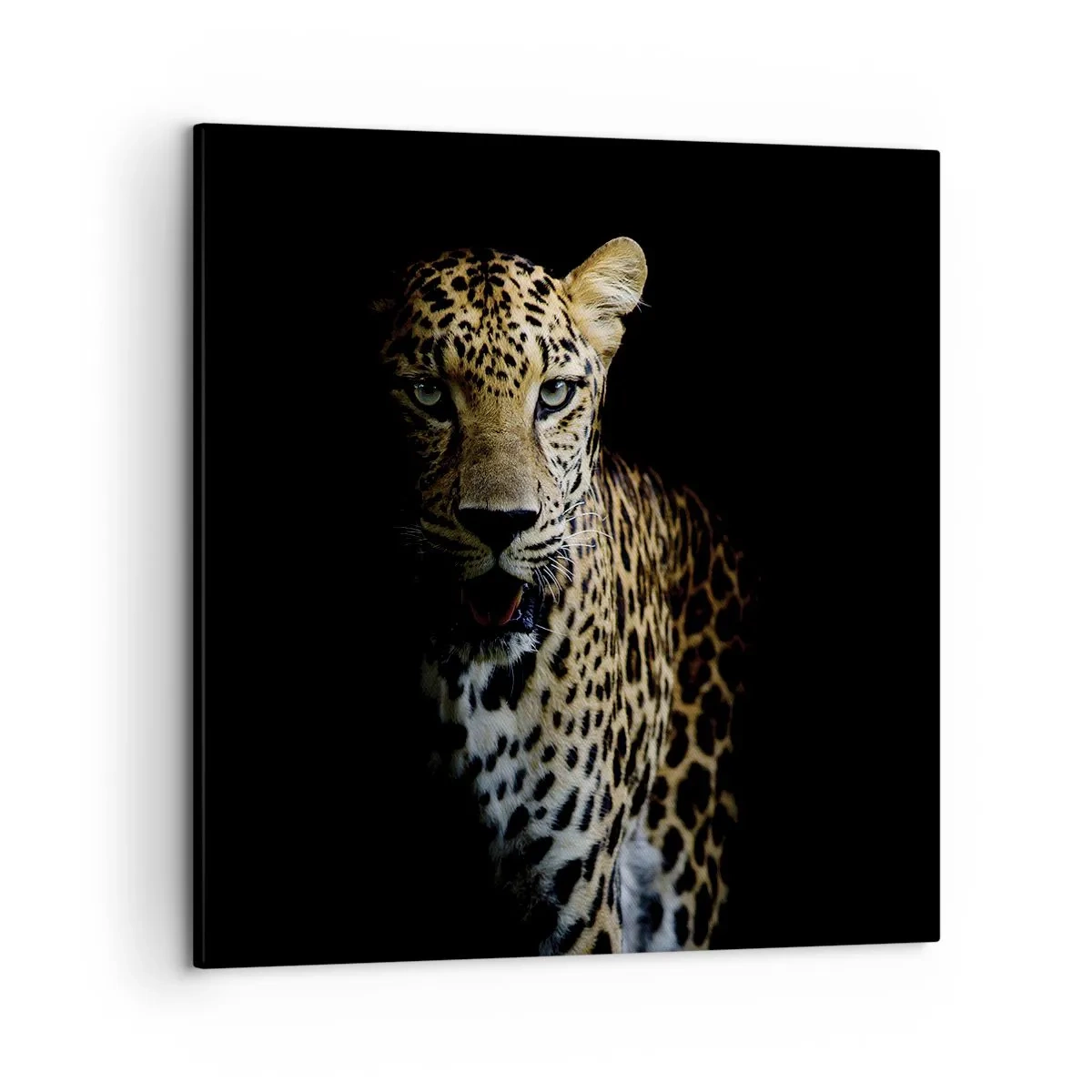 Canvastavla - Bild på duk - Mörk skönhet - 50x50 cm
