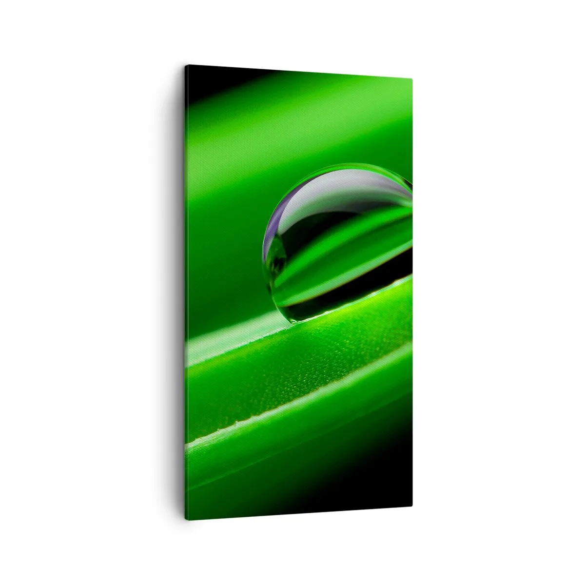 Canvastavla - Bild på duk - Livet på nära håll - 45x80 cm