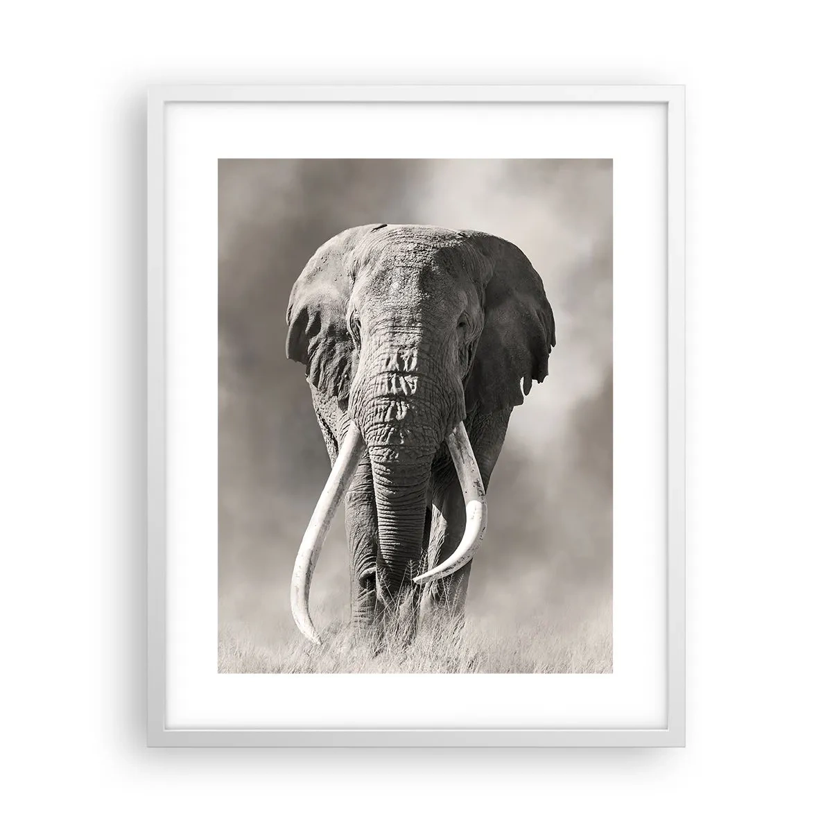 Affisch i vit ram - Afrikansk patriark - 40x50 cm