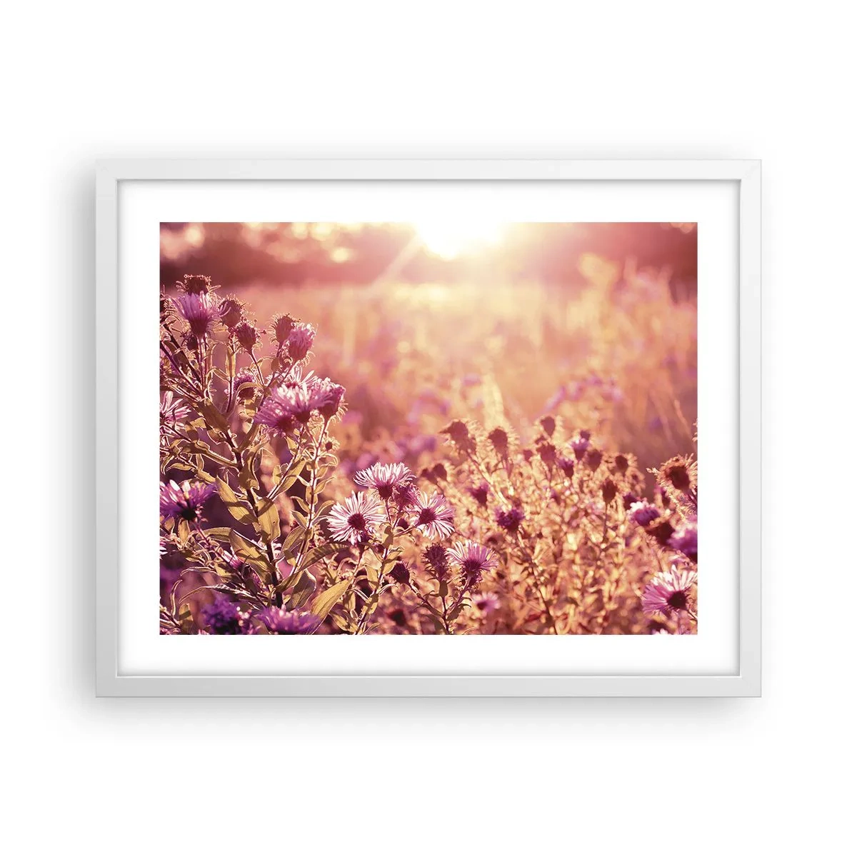 Affisch i vit ram - Innan sommaren går bort - 50x40 cm