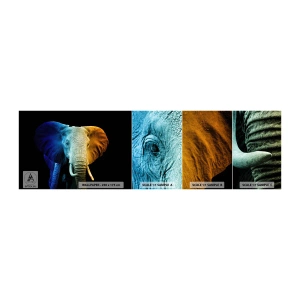 Fototapet Prov Standard Eco - Excentriker, ej kuf - Abstraktion, Elefant, Djur - 100x30 cm