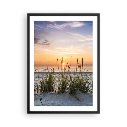 Affisch i svart ram - Strand med vegetation vid soluppgången - 50x70cm - Titta, tänk, känn - Modern väggdekoration för vardagsrum och sovrum ARTTOR