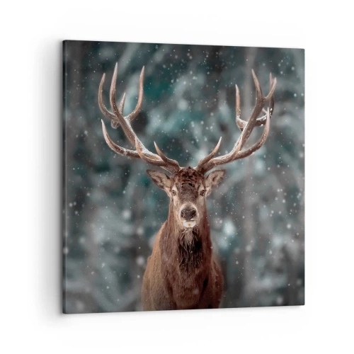 Canvastavla - Bild på duk - Krönt skogens kung - 50x50 cm