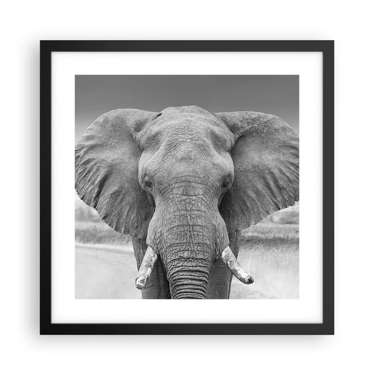 Affisch i svart ram - Välkommen till min värld - 40x40 cm