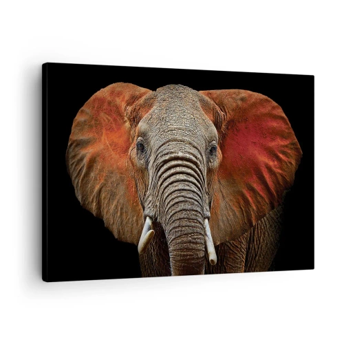 Canvastavla - Bild på duk - Porträtt av en elefant på svart bakgrund - 70x50cm - Jag är vild, och du? - Modern väggdekoration för vardagsrum och sovrum ARTTOR