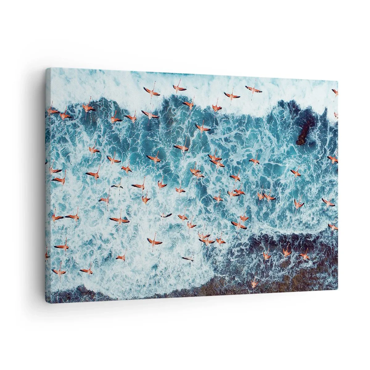 Canvastavla - Bild på duk - Kustparad - 70x50 cm