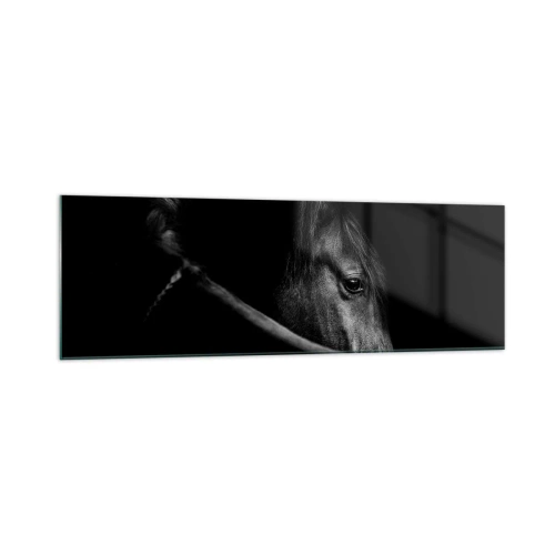 Glastavla - Bild på glas - Svart prins - 160x50 cm