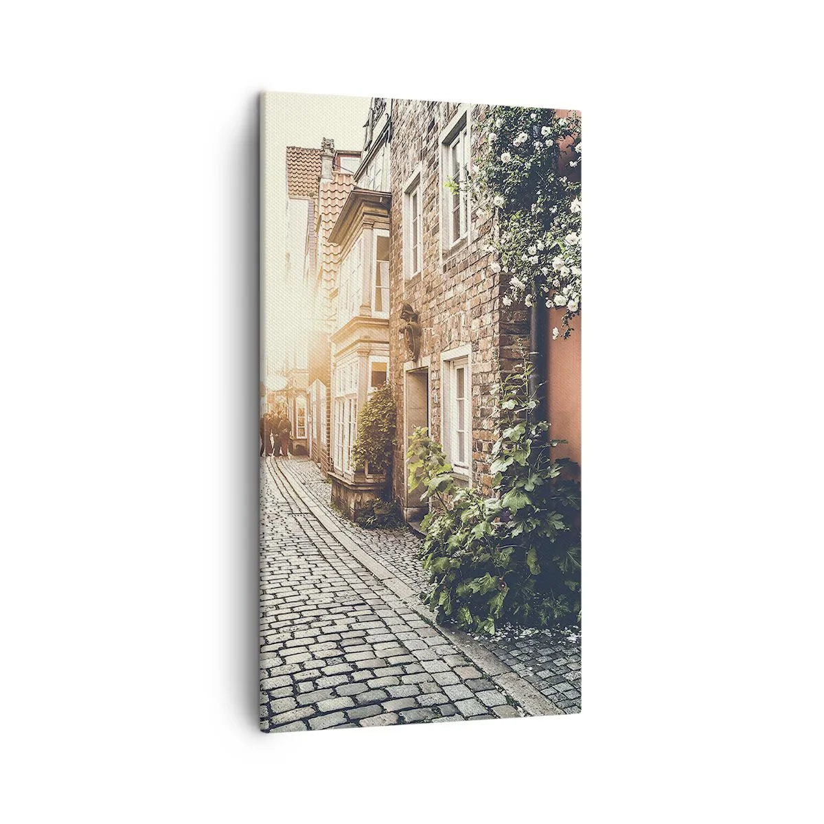 Canvastavla - Bild på duk - Rosgränd i rosa sken - 45x80 cm