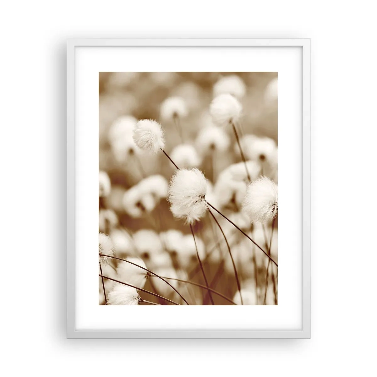 Affisch i vit ram - Fluffig åkermark - 40x50 cm