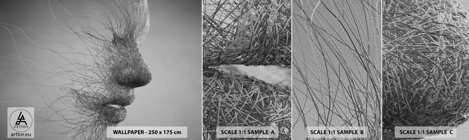 Provbit av fototapet Premium Canvas - Vindens ande - Abstraktion, Kvinnans ansikte, Grafik - 100x30 cm
