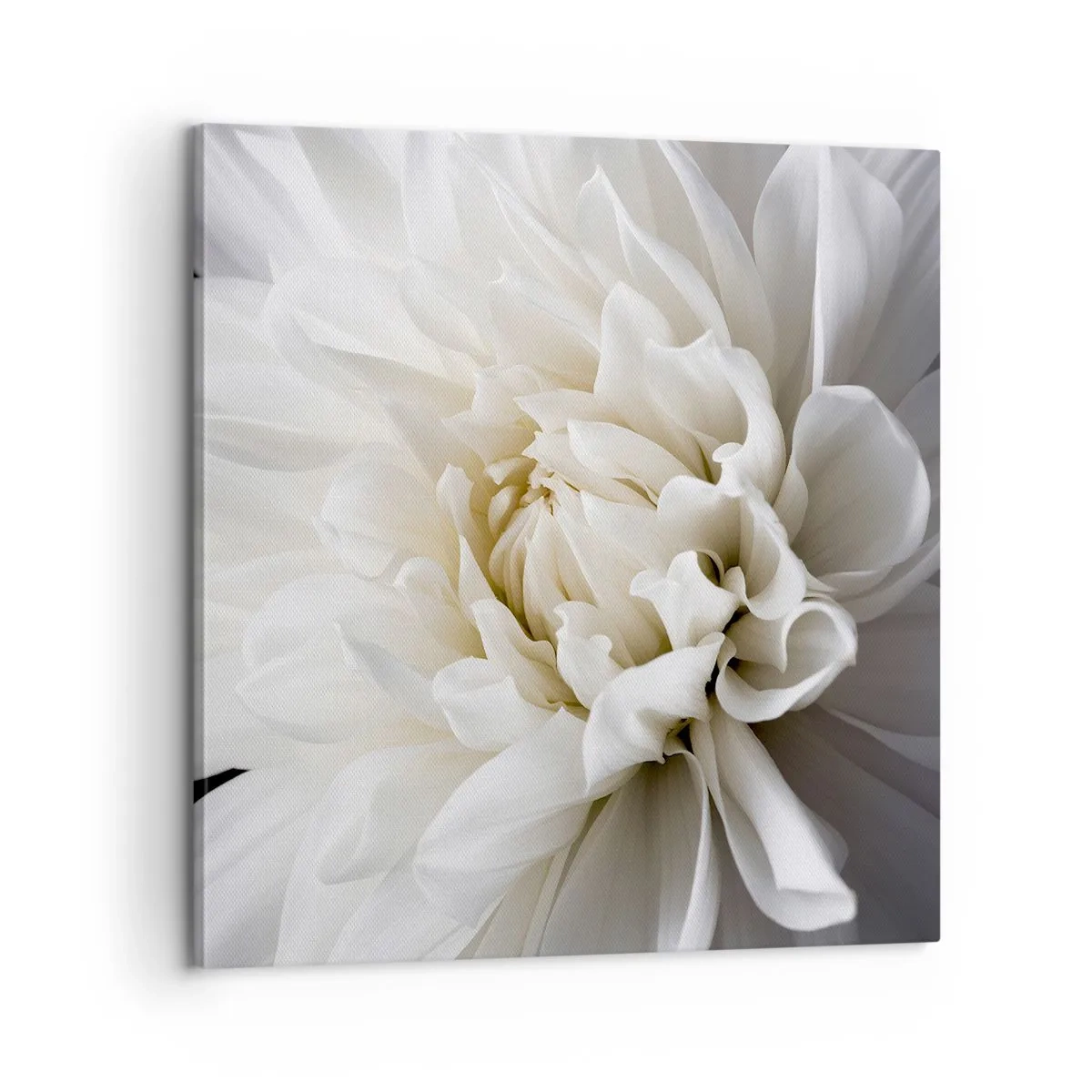 Canvastavla - Bild på duk - En bruds morgon - 60x60 cm