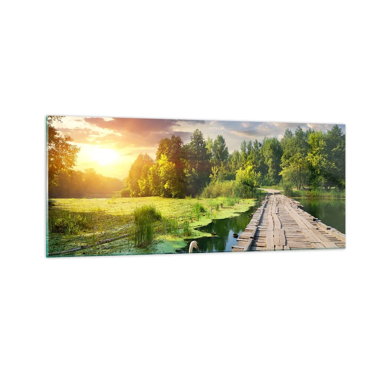 Glastavla - Bild på glas - Sommar, sommar överallt - 100x40 cm