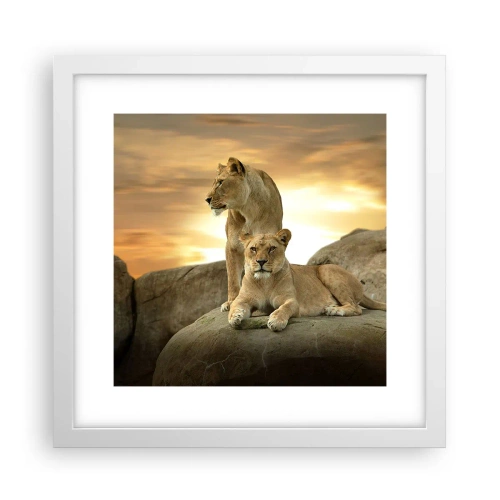 Affisch i vit ram - Kungligt majestät - 30x30 cm