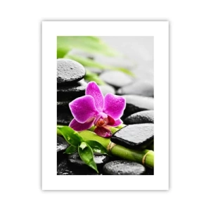 Affisch - Lugn balans - 30x40 cm