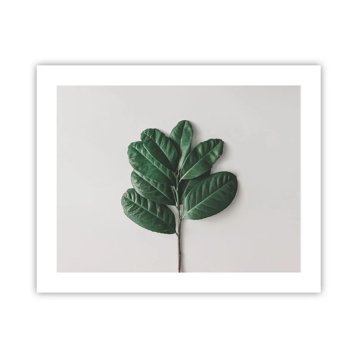 Affisch - Själva naturens bild - 50x40 cm