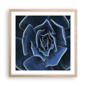 Affisch i ram av ljusek - Öknens blomma - 50x50 cm