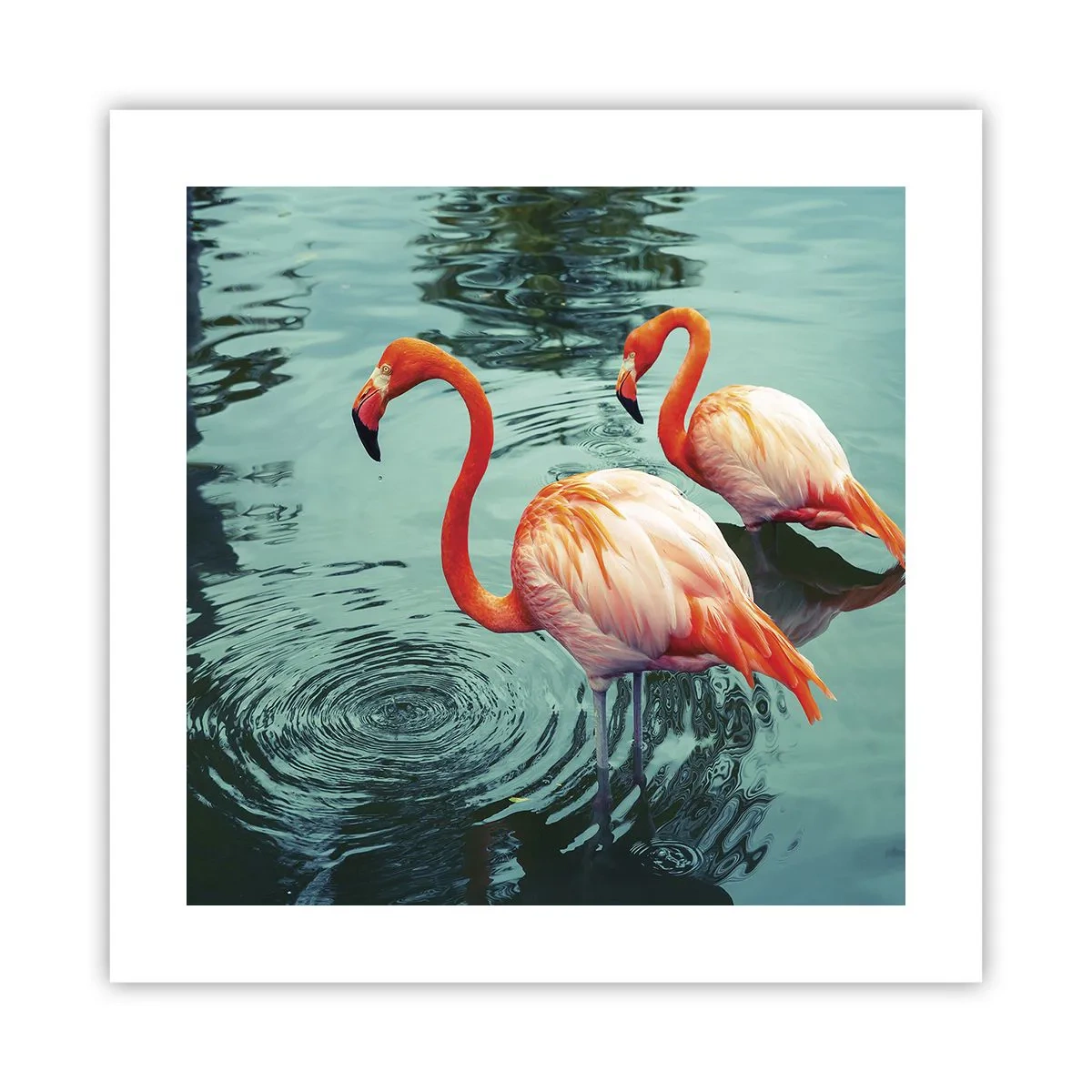 Affisch - Nu är vi på modet - 40x40 cm