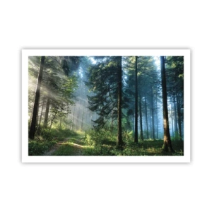 Affisch - Strålande på morgonen - 91x61 cm