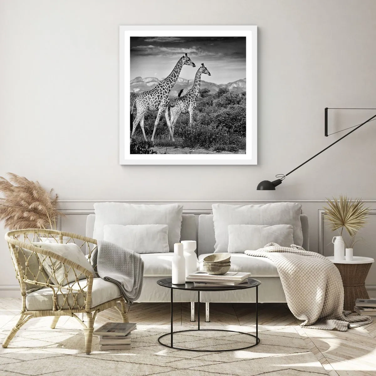 Affisch i vit ram - Högre klasser i Afrika - 60x60 cm
