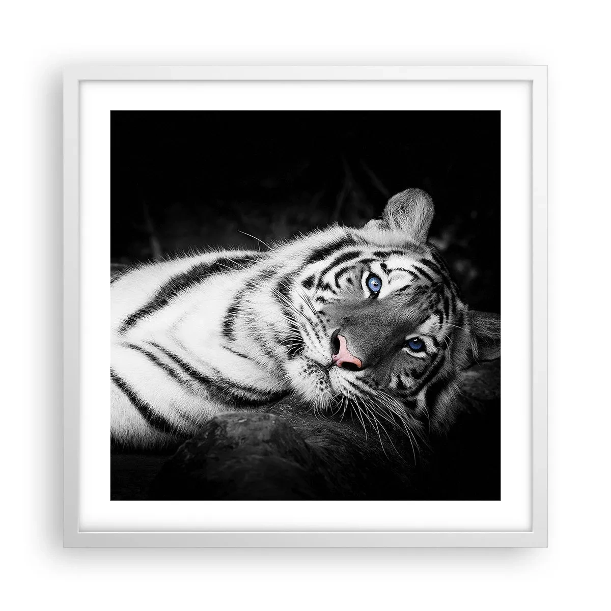 Affisch i vit ram - Vildhet och lugn - 50x50 cm