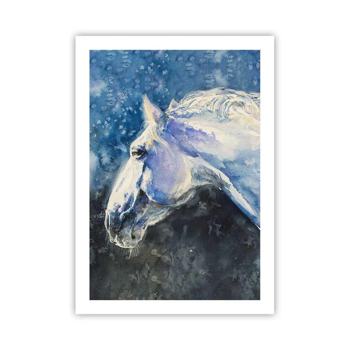 Affisch - Porträtt i blått sken - 50x70 cm
