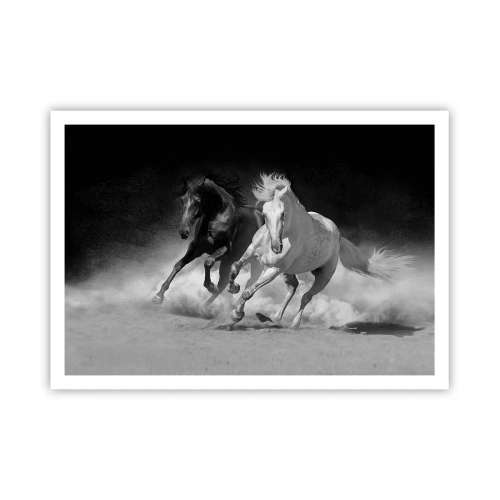 Affisch - Frihetens galopp - 100x70 cm