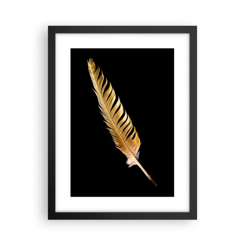 Affisch i svart ram - Fjäder... - 30x40 cm