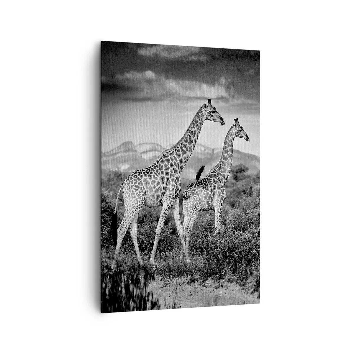 Canvastavla - Bild på duk - Högre klasser i Afrika - 80x120 cm