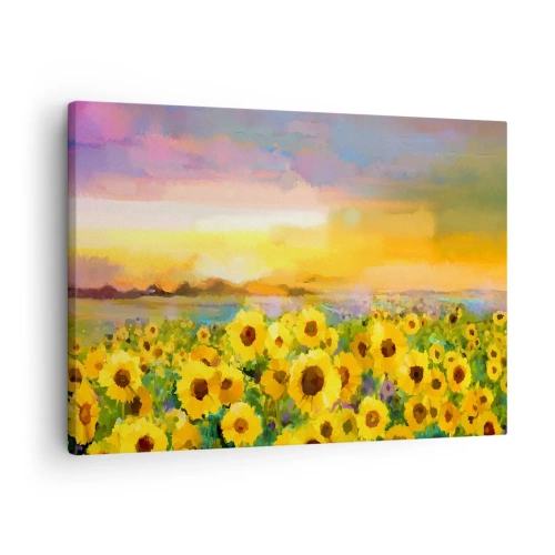 Canvastavla - Bild på duk - Ett fält av solrosor i ljuset av den nedgående solen - 70x50cm - Själva solen gick ner på jorden - Modern väggdekoration för vardagsrum och sovrum ARTTOR
