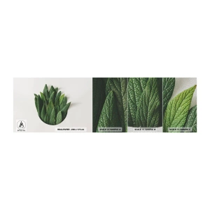 Provbit av fototapet Premium Sand - Ostoppbar nyfikenhet - Salvia, Salvia blad, Ört - 100x30 cm