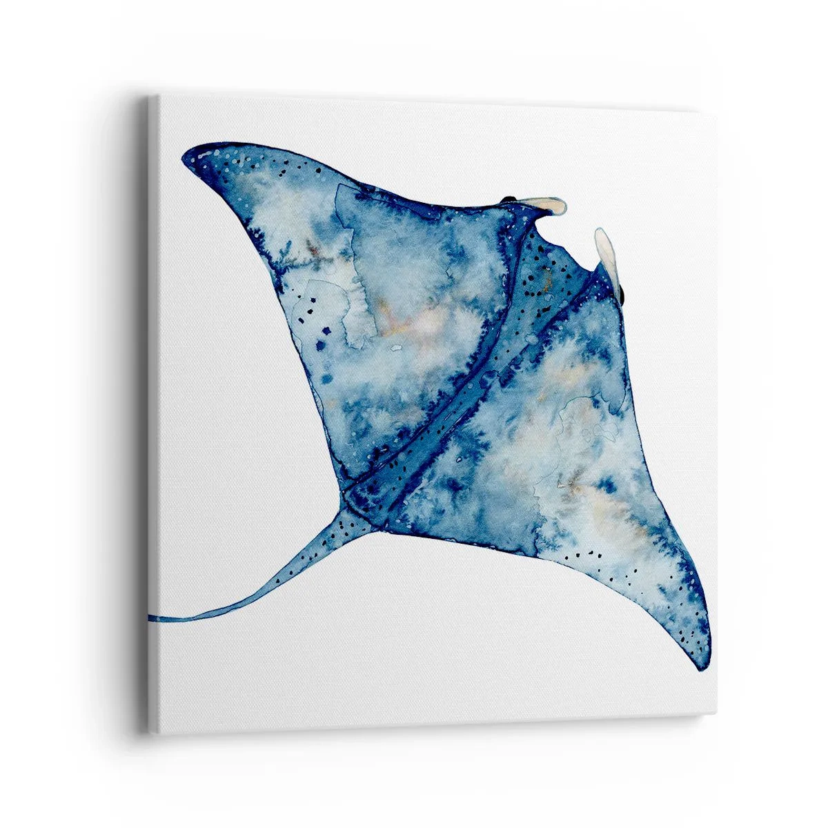 Canvastavla - Bild på duk - Liv i blått - 40x40 cm