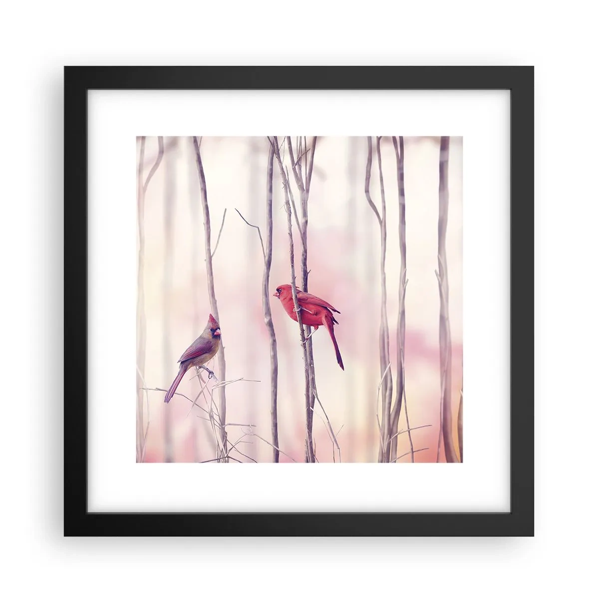 Affisch i svart ram - Rosa skogens saga - 30x30 cm