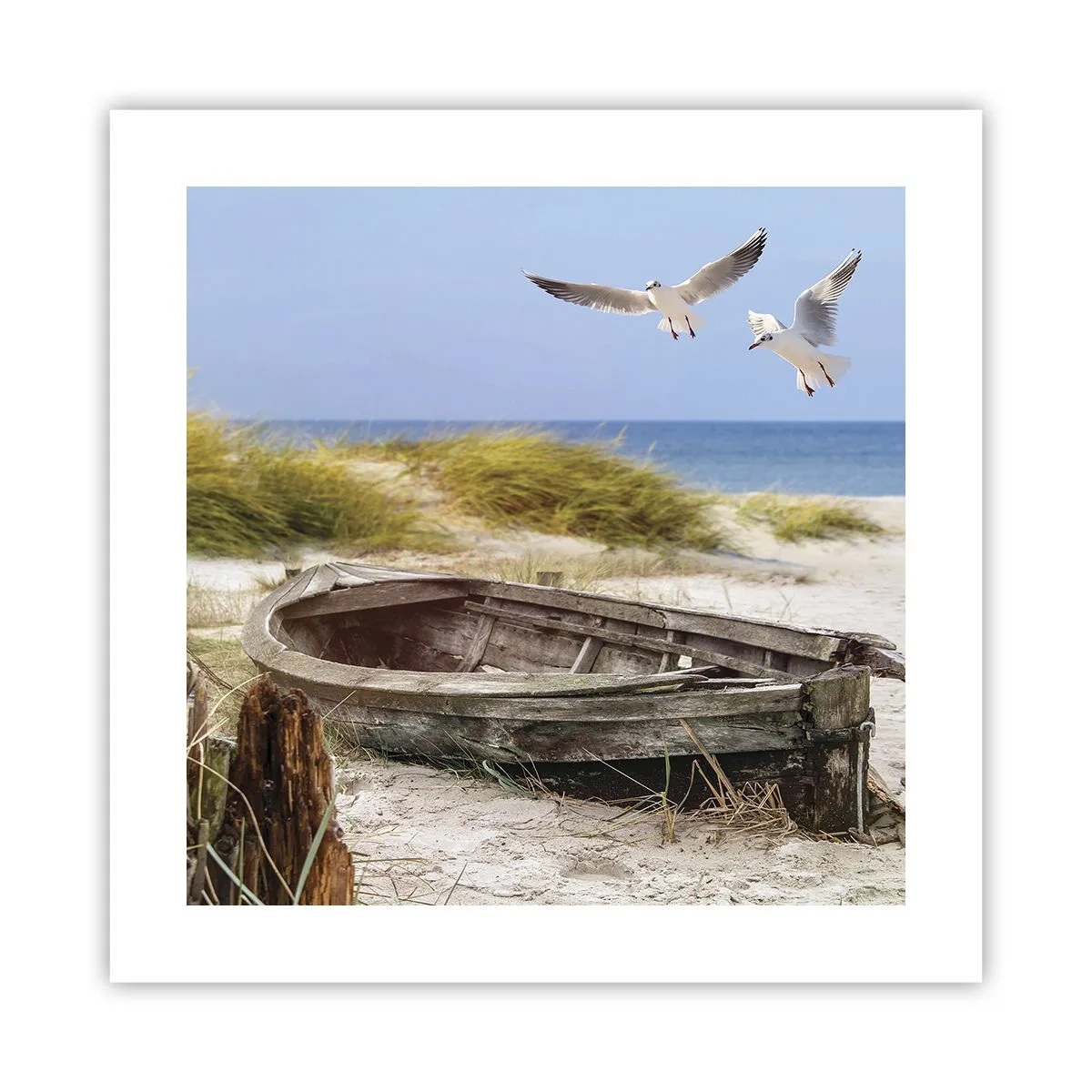 Affisch - Doppade i vinden - 40x40 cm