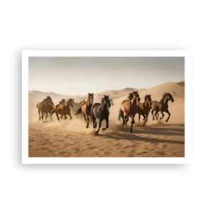 Affisch - Fri som vinden - 91x61 cm