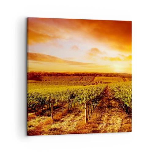 Canvastavla - Bild på duk - Fina druvor med en gnutta sol - 60x60 cm