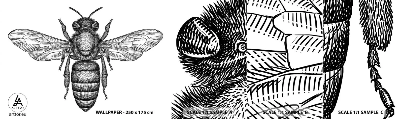 Fototapet Prov Standard Eco - Porträtt av en insekt - Bi, Insekt, Minimalistisk - 100x30 cm