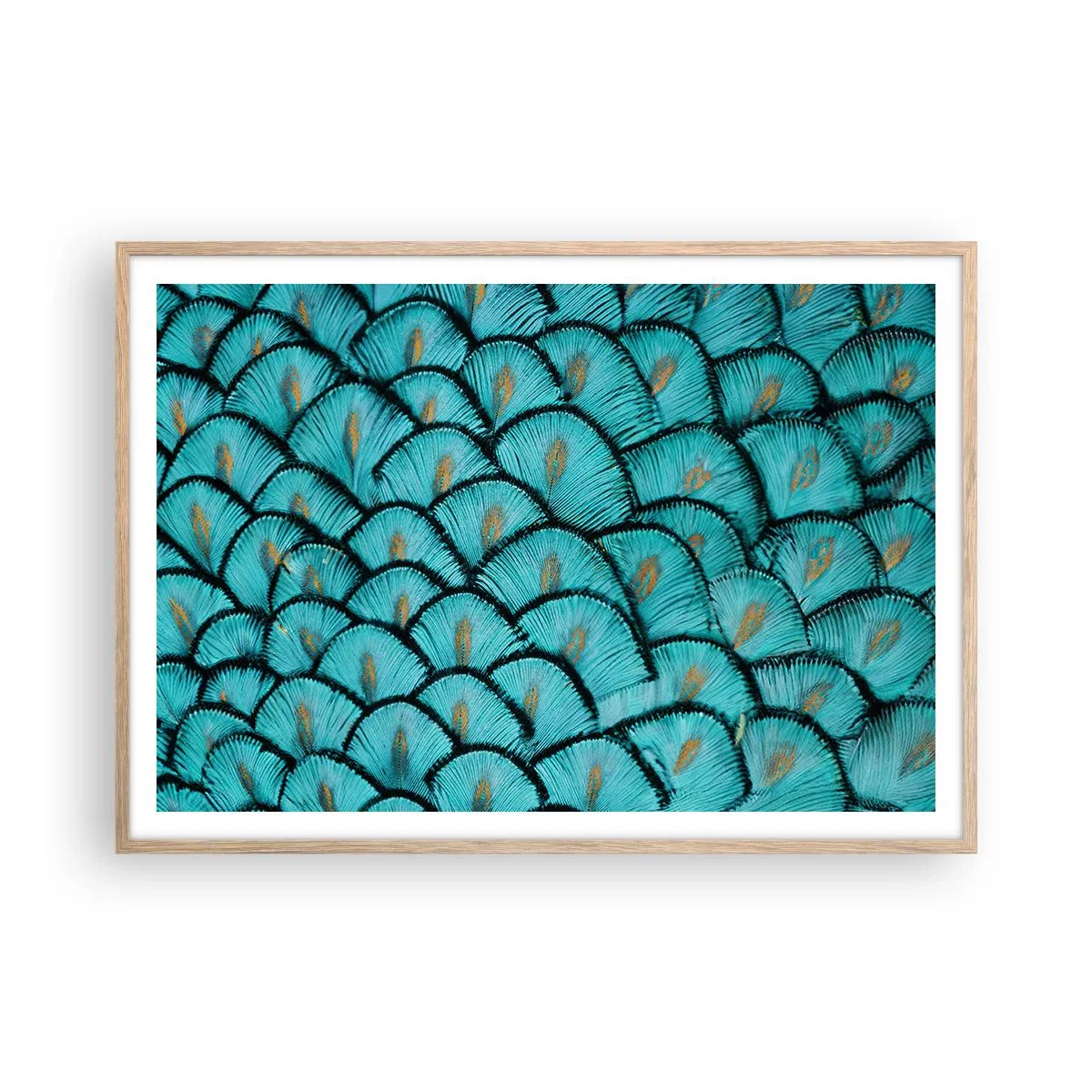 Affisch i ram av ljusek - Den stora fjädergalan - 100x70 cm