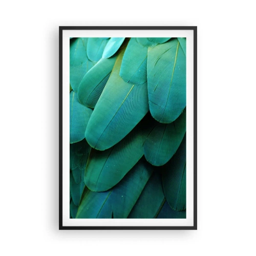 Affisch i svart ram - Precision av papegojans natur - 61x91 cm