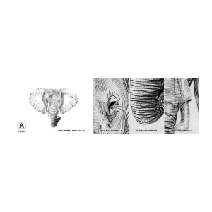 Provbit av fototapet Premium Sand - "Det var en elefant, stor som elefant" - Djur, Elefant, Grafik - 100x30 cm