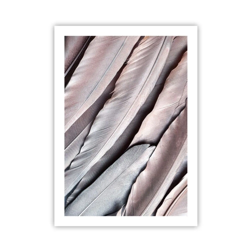 Affisch - I rosa silver - 50x70 cm