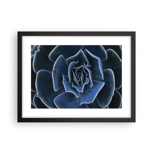 Affisch i svart ram - Öknens blomma - 40x30 cm