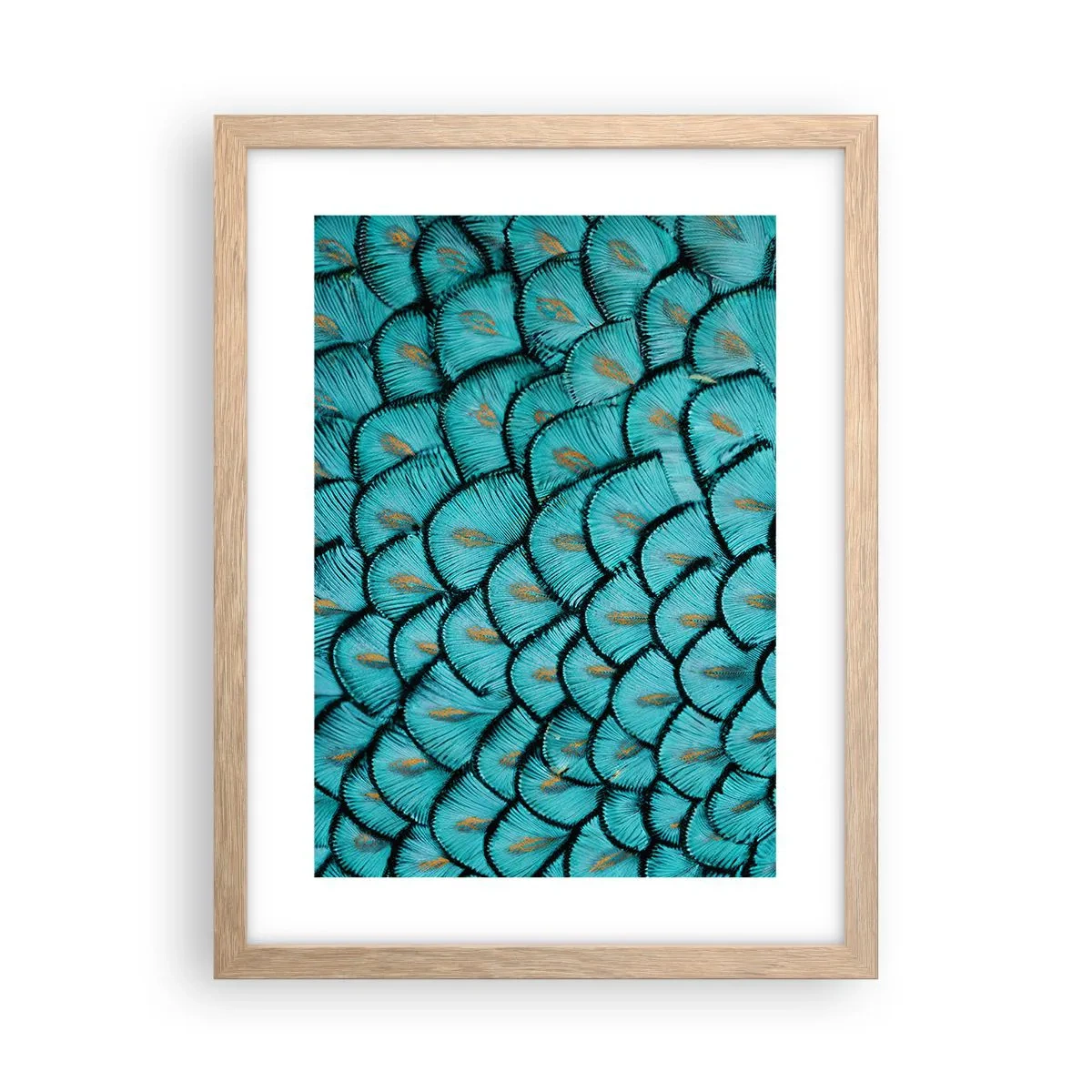 Affisch i ram av ljusek - Den stora fjädergalan - 30x40 cm