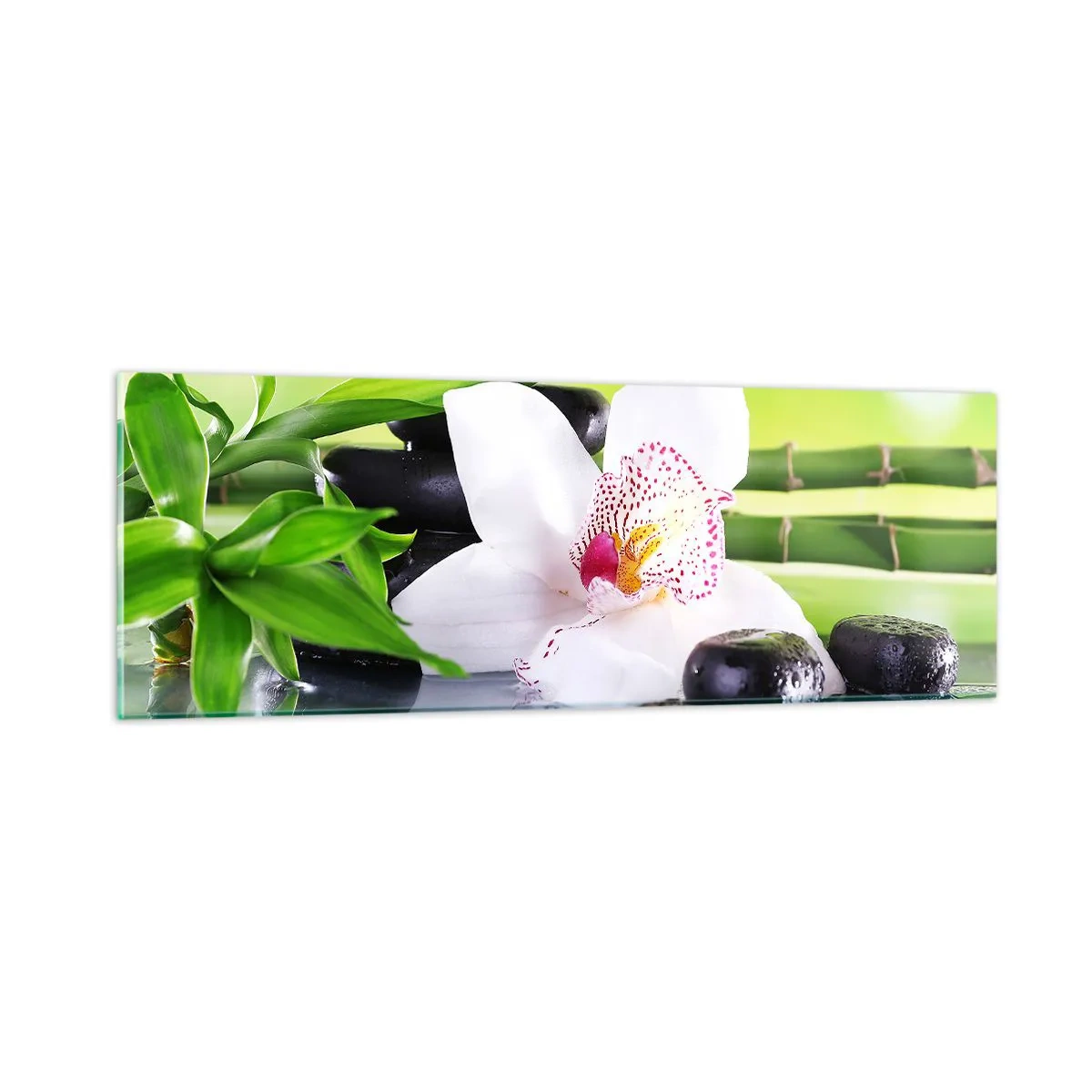 Glastavla - Bild på glas - Sval fräschhet - 90x30 cm