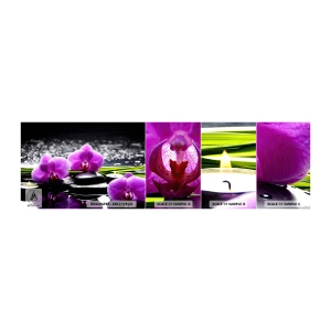 Fototapet Prov Standard Eco - Drunkna i tystnad och lugn - Blommor, Orkide, Orkide - 100x30 cm