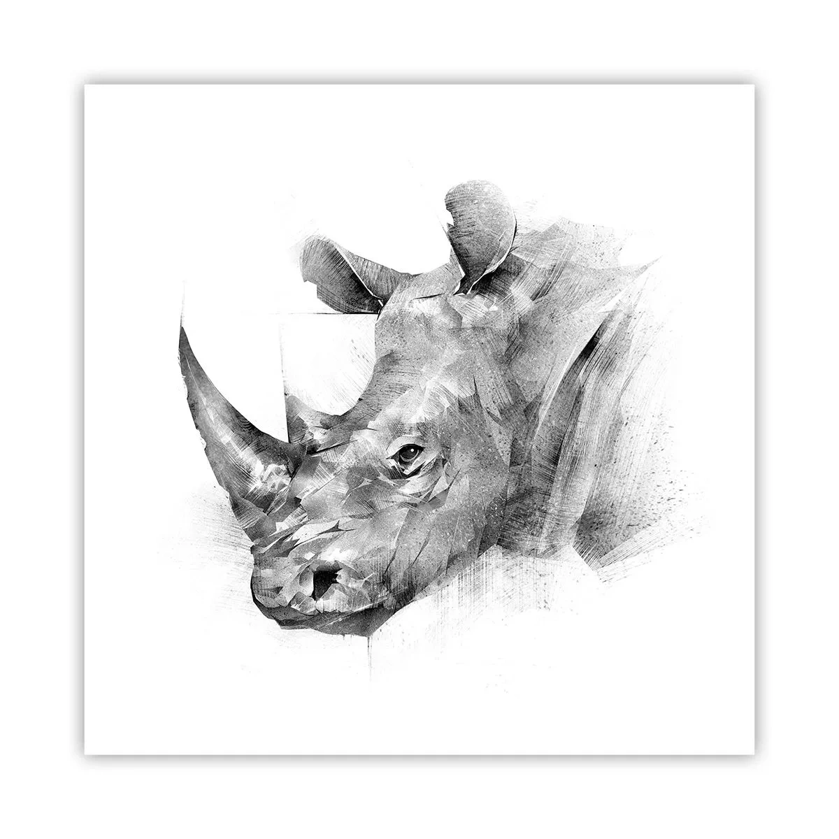 Affisch - Afrikansk porträtt - 60x60 cm