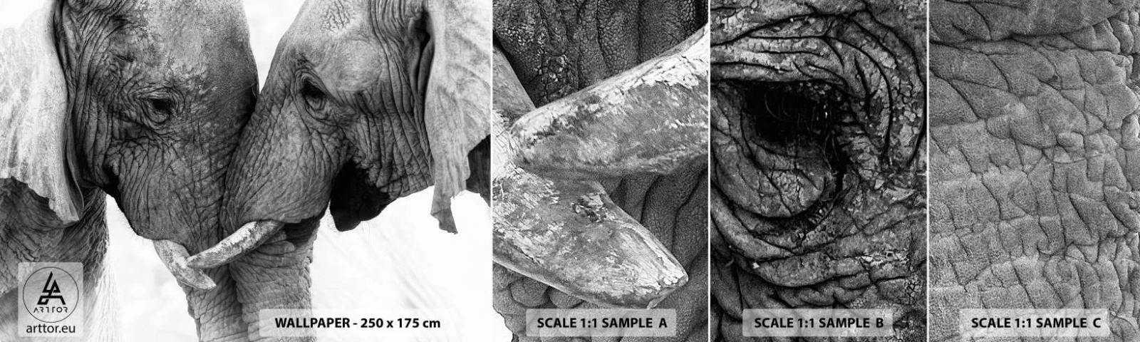 Fototapet Prov Standard Eco - Hjärtlig bekännelse - Elefant, Djur, Afrika - 100x30 cm