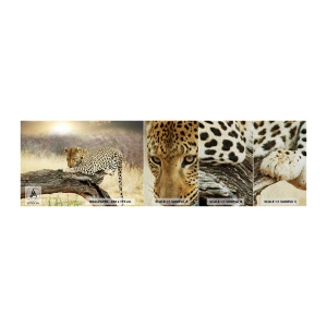 Provbit av fototapet Premium Sand - Jag går min egen väg - Djur, leopard, Afrika - 100x30 cm